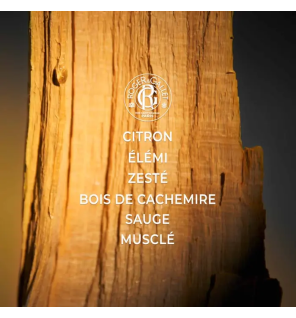 Roger & Gallet – Cologne Twist Coffret Fête des Pères, gel douche 300 ml