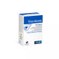PiLeJe – Visiobiane Protect, 30 capsules marines PiLeJe – Visiobiane Protect, 30 capsules marines