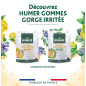 Humer – Gommes gorge sensible arôme Miel Citron, 30 gommes Humer – Gommes gorge sensible arôme Miel Citron, 30 gommes