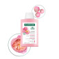 Klorane – Shampooing à la Pivoine Bio Cuirs Chevelus Sensibles, 2 x 400 ml Klorane – Shampooing à la Pivoine Bio Cuirs Chevelus Sensibles, 2 x 400 ml