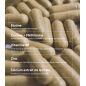 Novophane – Gélules, 60 gélules Novophane – Gélules, 60 gélules