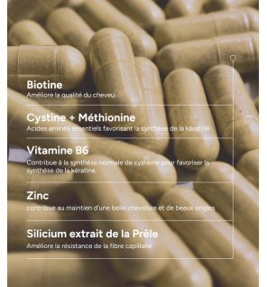 Novophane – Formule Renforcée, 60 gélules