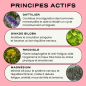 Circles – Balance Équilibre Hormonal et SPM, 60 gélules Circles – Balance Équilibre Hormonal et SPM, 60 gélules