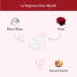 Musc Intime – Lingettes intimes Rose Mystik, 30 lingettes Musc Intime – Lingettes intimes Rose Mystik, 30 lingettes