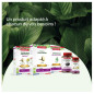 Super Diet – Quatuor bio bien-être du foie, 20 ampoules Super Diet – Quatuor bio bien-être du foie, 20 ampoules