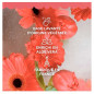 Roger & Gallet – Fleur de figuier trousse eau parfumée bienfaisante + gel douche, 30 ml + 50 ml Roger & Gallet – Fleur de figuier trousse eau parfumée bienfaisante + gel douche, 30 ml + 50 ml