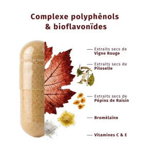 Valebio – Circulation, 60 gélules