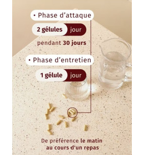 Valebio – Circulation, 60 gélules