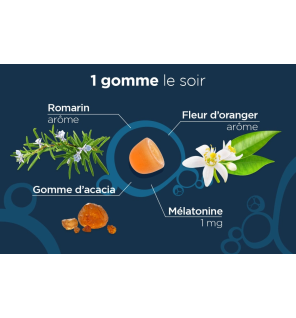 Lehning – Pâte suisse Bonne Nuit, 40 gommes