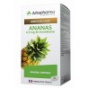 Arkopharma Arkogelules Ananas 45 Gelules