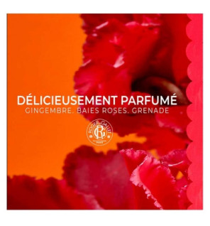 Roger & Gallet – Gingembre Rouge Lait Corps Bienfaisant, 250 ml