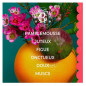 Roger & Gallet – Trousse Fleur de Figuier, eau parfumée 30 ml + gel douche 50 ml Roger & Gallet – Trousse Fleur de Figuier, eau parfumée 30 ml + gel douche 50 ml