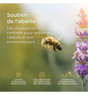 Alvadiem – Ongles Jaunis Soin Assainissant, 10 ml