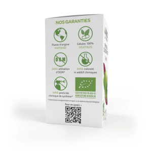 Arkopharma – Arkogélules BIO Ginkgo, 150 gélules