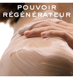 Nuxe – Rêve de Miel Crème Corps Nourrissante Ultra-Réconfortante 48H, 400 ml