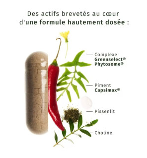 Valebio – Minceur Brûleur, 60 gélules