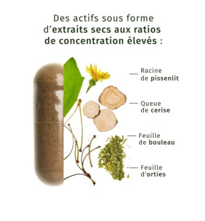 Valebio – Draineur, 60 gélules