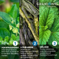 Laboratoire des Granions – Complexe Cortisol Balance, 60 comprimés