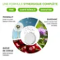 Granions – Détox globale hydratation goût fraise, 20 comprimés effervescents Granions – Détox globale hydratation goût fraise, 20 comprimés effervescents