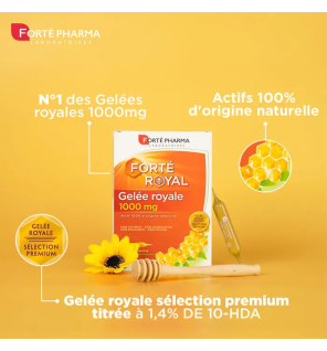 Forté Pharma – Forté Royal Gelée Royale 1000 mg, 20 ampoules