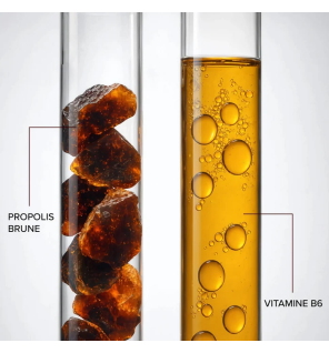 Arkopharma – Arkoroyal Propolis 1000 mg, 10 ampoules de 10 ml