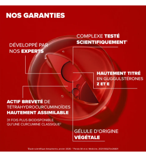 Arkopharma – Arkostérol Expert, 30 gélules