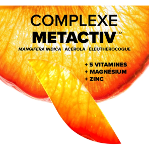 Arkopharma – Azinc Expert Fatigue Intense Épuisement, 30 comprimés