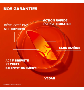 Arkopharma – Azinc Expert Fatigue Intense Épuisement, 30 comprimés