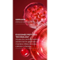 Weleda – Youth Power Contour des Yeux Grenade Bio, 12 ml Weleda – Youth Power Contour des Yeux Grenade Bio, 12 ml