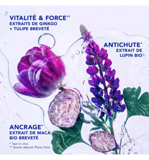 Phyto – Phytocyne Shampooing Femme Antichute, 500 ml