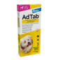 Elanco – AdTab 112 mg Chien 2,5–5,5 kg, 3 Comprimés Elanco – AdTab 112 mg Chien 2,5–5,5 kg, 3 Comprimés