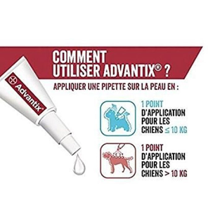 Advantix – Grand Chien 25 à 40 kg, Spot On Solution 4 ml, 6 pipettes