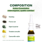 Pranarôm – Spray Nasal Allergoforce, 15 ml Pranarôm – Spray Nasal Allergoforce, 15 ml