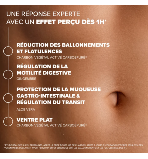 Arkopharma – Arkodigest Expert Ballonnements & Flatulences, 30 gélules