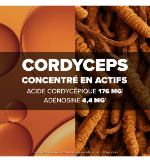 Arkopharma – Arkogélules Cordyceps, 60 gélules