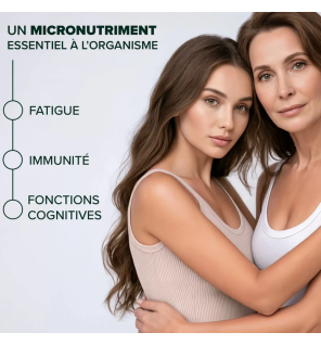 Arkopharma – Arkogélules Fer Liposomal, 60 gélules