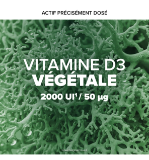 Arkopharma – Arkogélules Vitamine D3 Végétale, 60 gélules