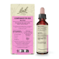 Bach – Fleurs de Bach Original Confiance en Soi, 20 ml Bach – Fleurs de Bach Original Confiance en Soi, 20 ml