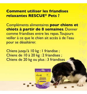 Rescue Pets – Friandises relaxantes pour chiens, 60 friandises (160 g)