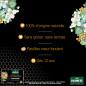 Humer – Pastilles Gorge Miel de Manuka IAA® 15+ & Eucalyptus, 52,8 g Humer – Pastilles Gorge Miel de Manuka IAA® 15+ & Eucalyptus, 52,8 g