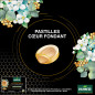 Humer – Pastilles Gorge Miel de Manuka IAA® 15+ & Eucalyptus, 52,8 g Humer – Pastilles Gorge Miel de Manuka IAA® 15+ & Eucalyptus, 52,8 g