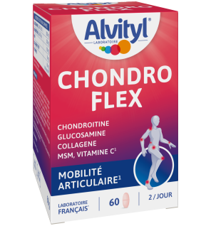 Alvityl – Chondroflex go vital, 60 comprimés