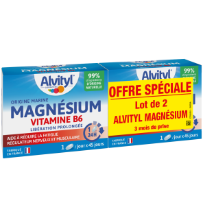 Alvityl – Magnésium vitamine b6, lot de 2 x 45 comprimés