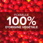 Arkopharma – Acérola 1000, lot de 2 x 30 comprimés à croquer Arkopharma – Acérola 1000, lot de 2 x 30 comprimés à croquer