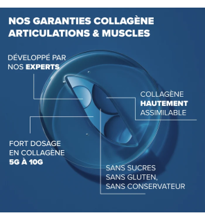 Arkopharma – Collagène articulations & muscles, 260 g