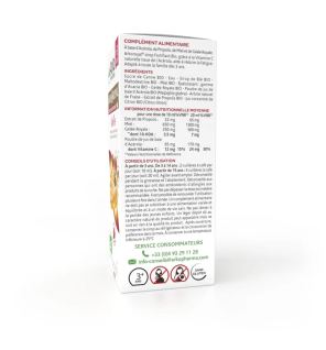 Arkopharma – Arkoroyal® Sirop Fortifiant Famille BIO - Anti gaspillage, 140 ml