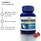 Arkopharma – Arkorelax® Sommeil Fort Gummies, 30 gummies Arkopharma – Arkorelax® Sommeil Fort Gummies, 30 gummies