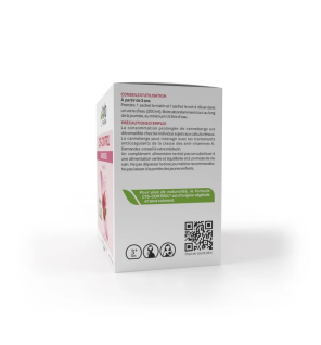 Arkopharma – Cys-Control Confort Urinaire Canneberge, 20 sachets