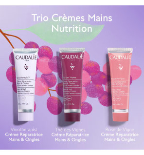 Caudalie –  Thé des Vignes Trio Crèmes Mains Nutrition, 3 x 30 ml