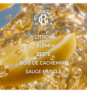 Roger & Gallet – Coffret Noël Trousse Cologne Twist Eau de Cologne & Déodorant, 2 produits